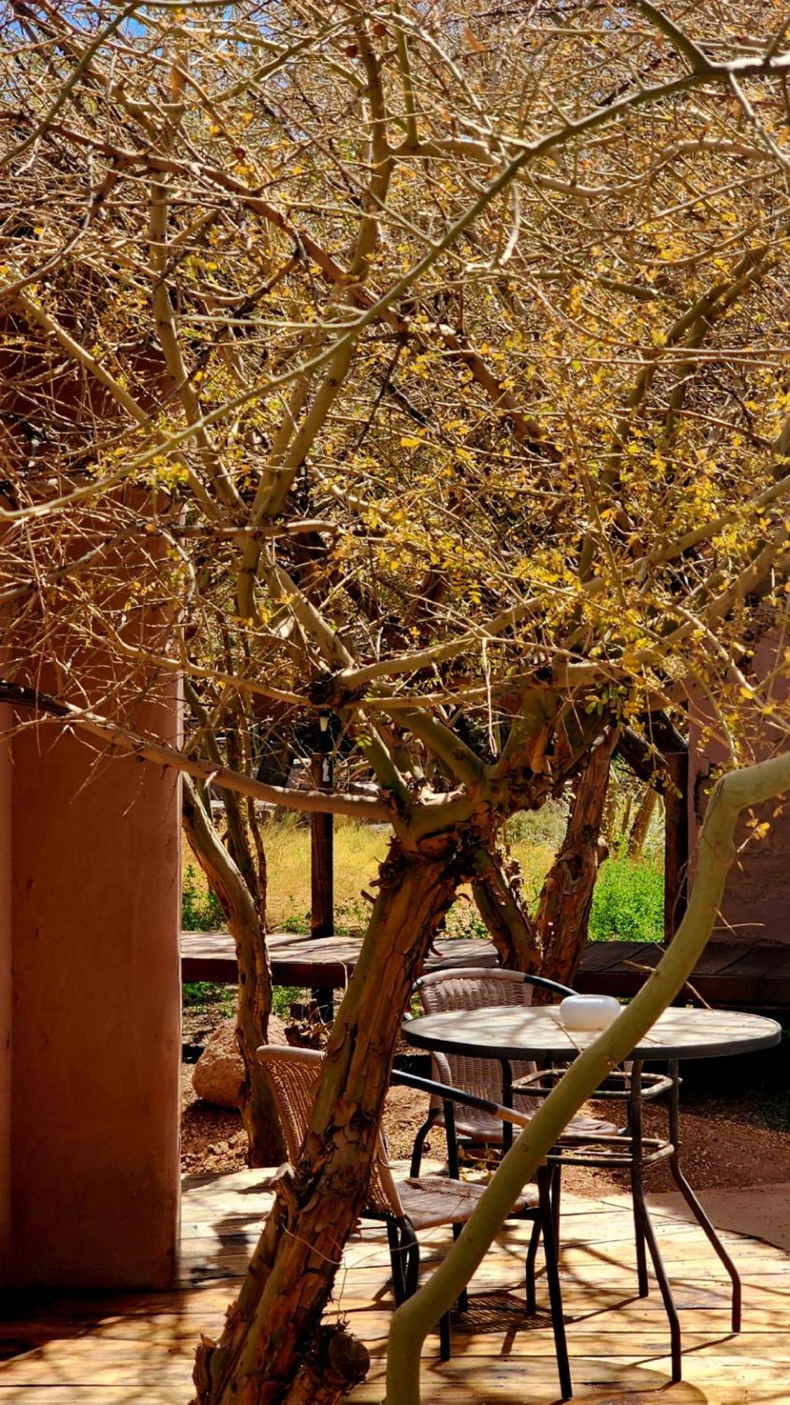 Tulor Hotel 3*