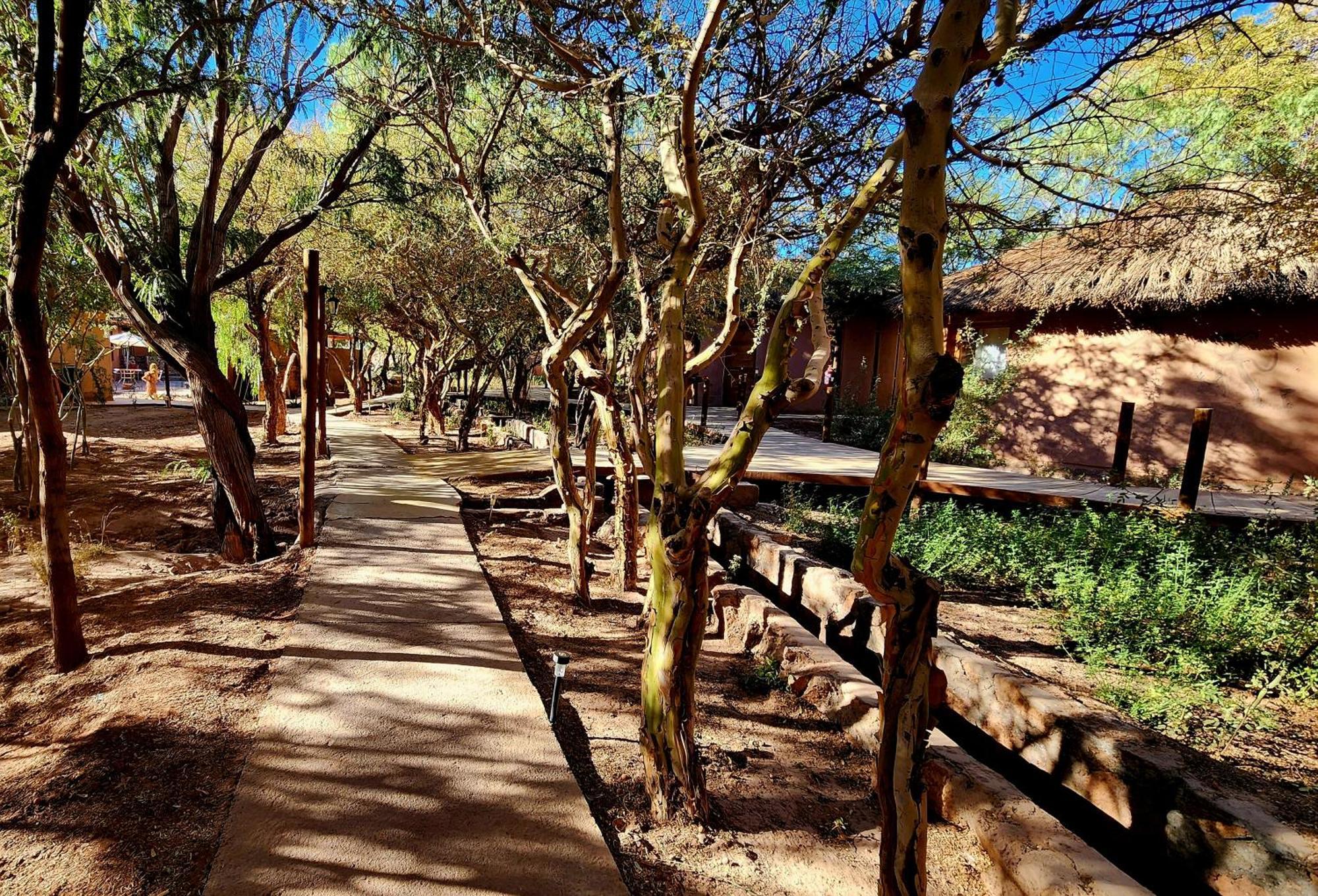 Tulor San Pedro de Atacama